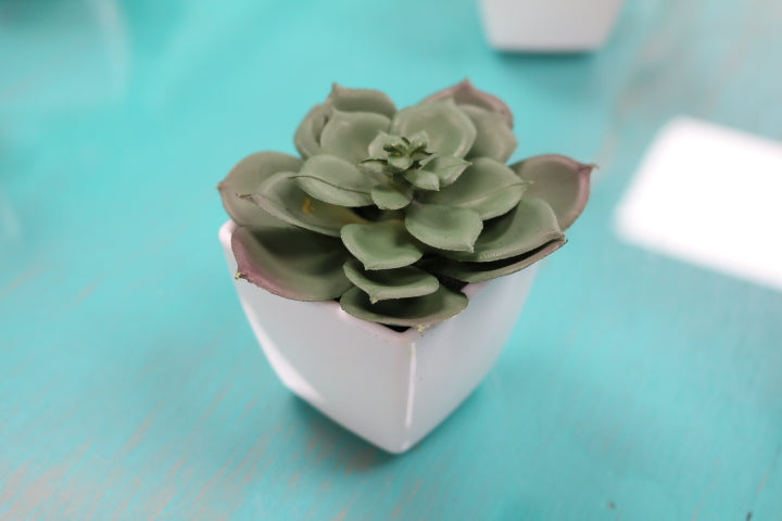 104-373-Faux Succulent(4)