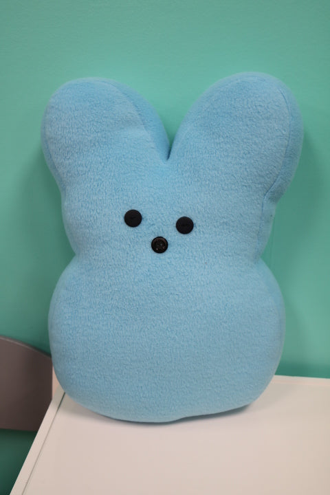 207-005-Lg Stuffed Pillow(20)