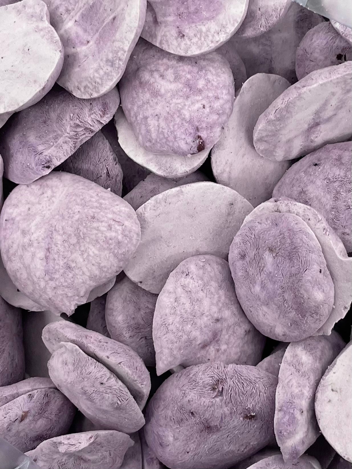 1045169-Blueberry Yogurt Drops(6)