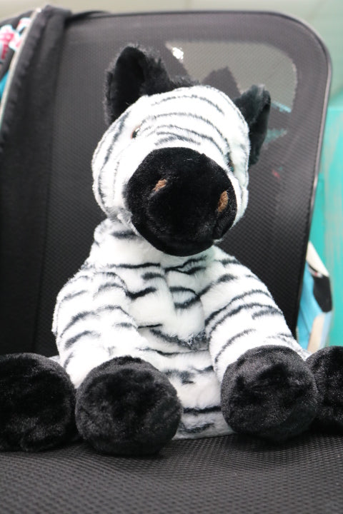 Comfy28-Comfy Buddy-Zebra-Strawberry POP(25)