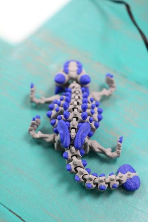104-399-3D Printed Mini Ankylosaurus(6)