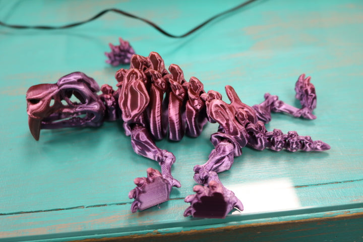 104-398-3D Printed Skeleton Sabertooth Tiger-75%(12)
