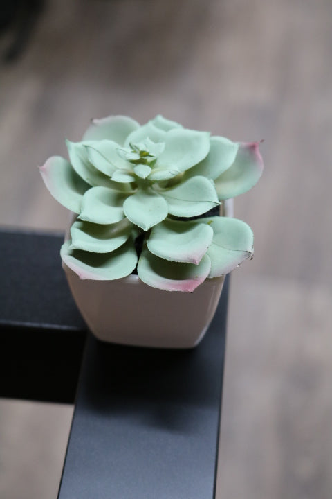 104-373-Faux Succulent(4)