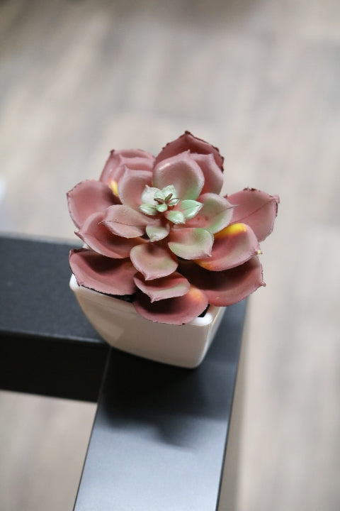 104-373-Faux Succulent(4)