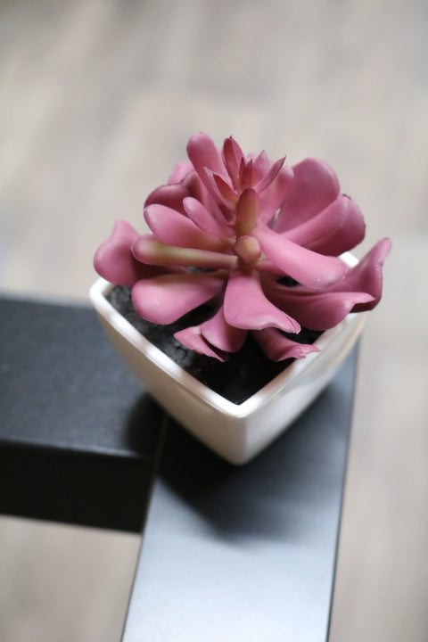 104-373-Faux Succulent(4)
