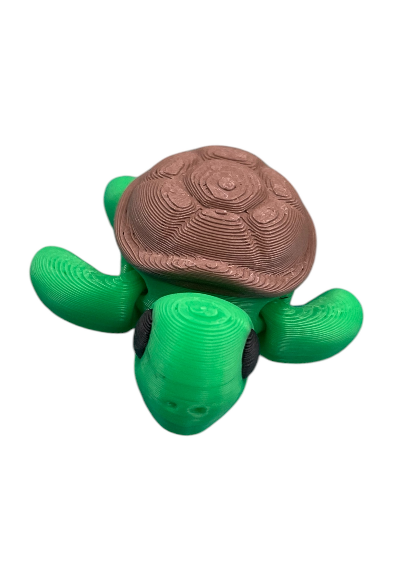 300019-3D Printed Baby Sea Turtle(5)