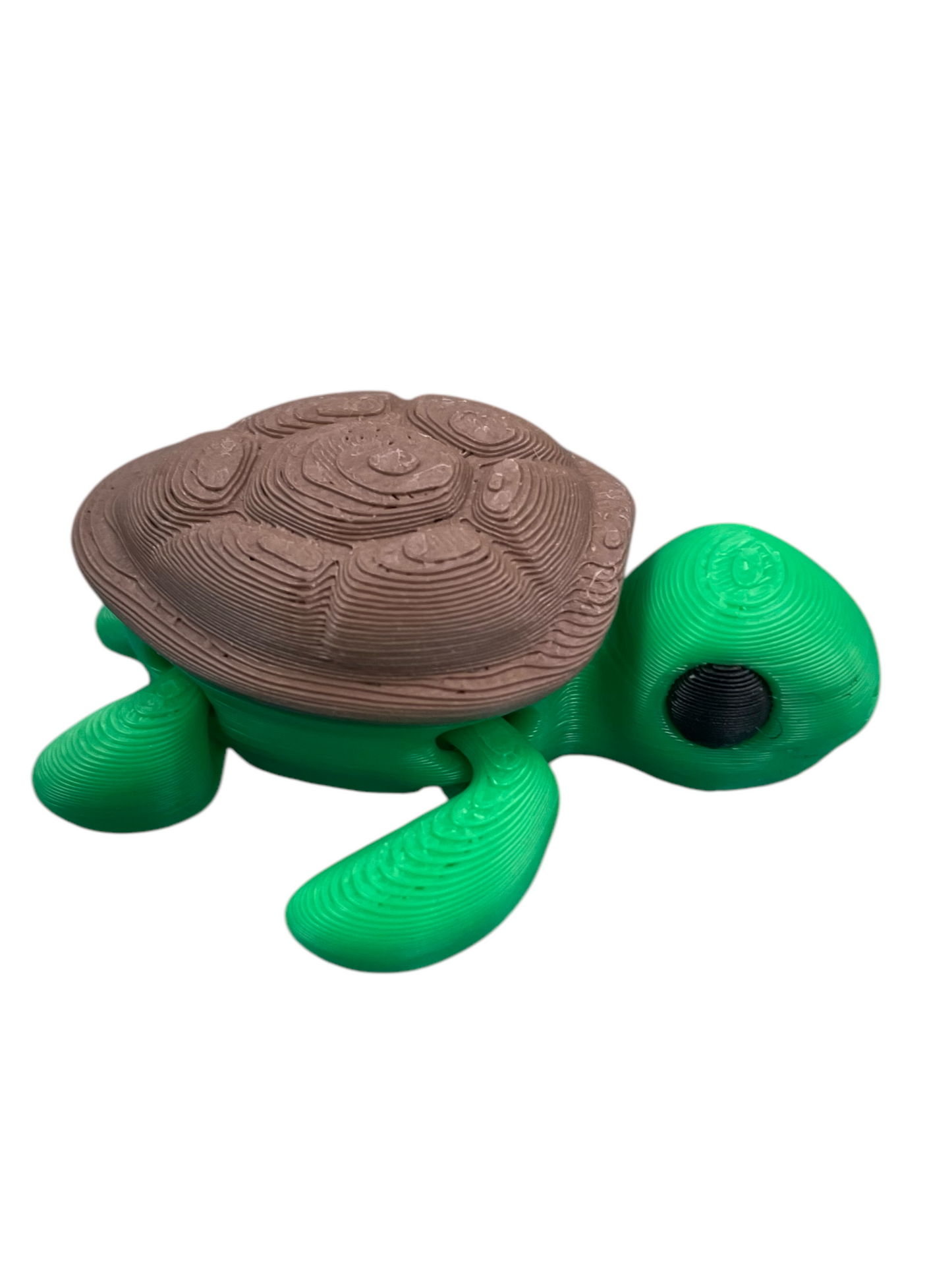 300019-3D Printed Baby Sea Turtle(5)
