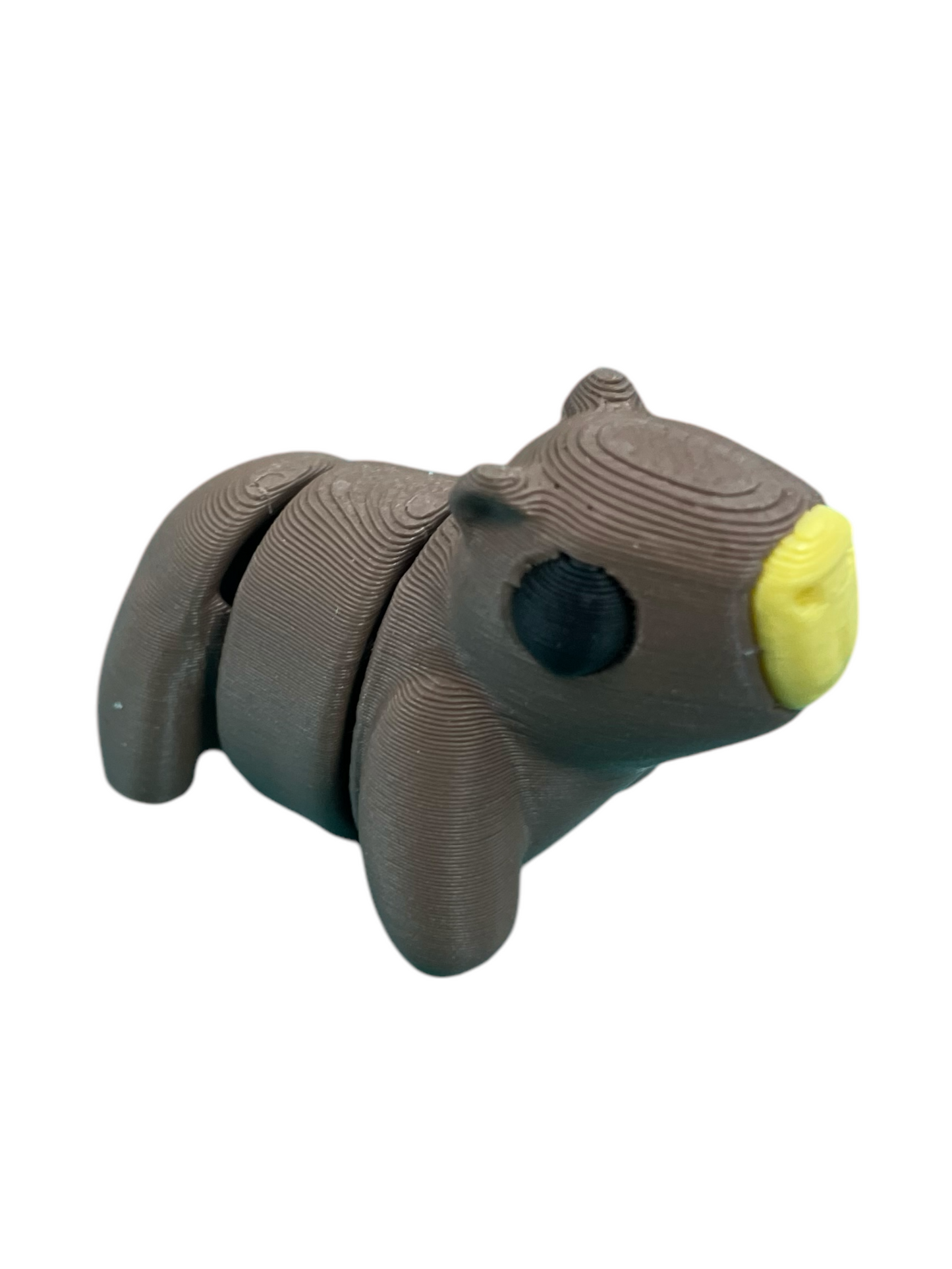 300024-3D Printed Baby Capybara(5)