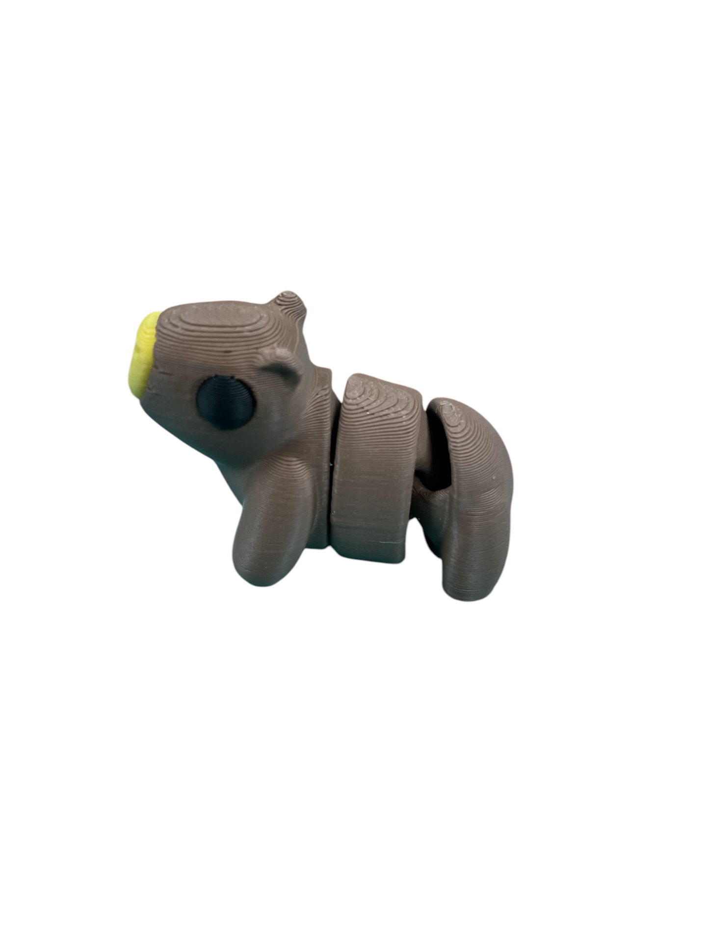 300024-3D Printed Baby Capybara(5)