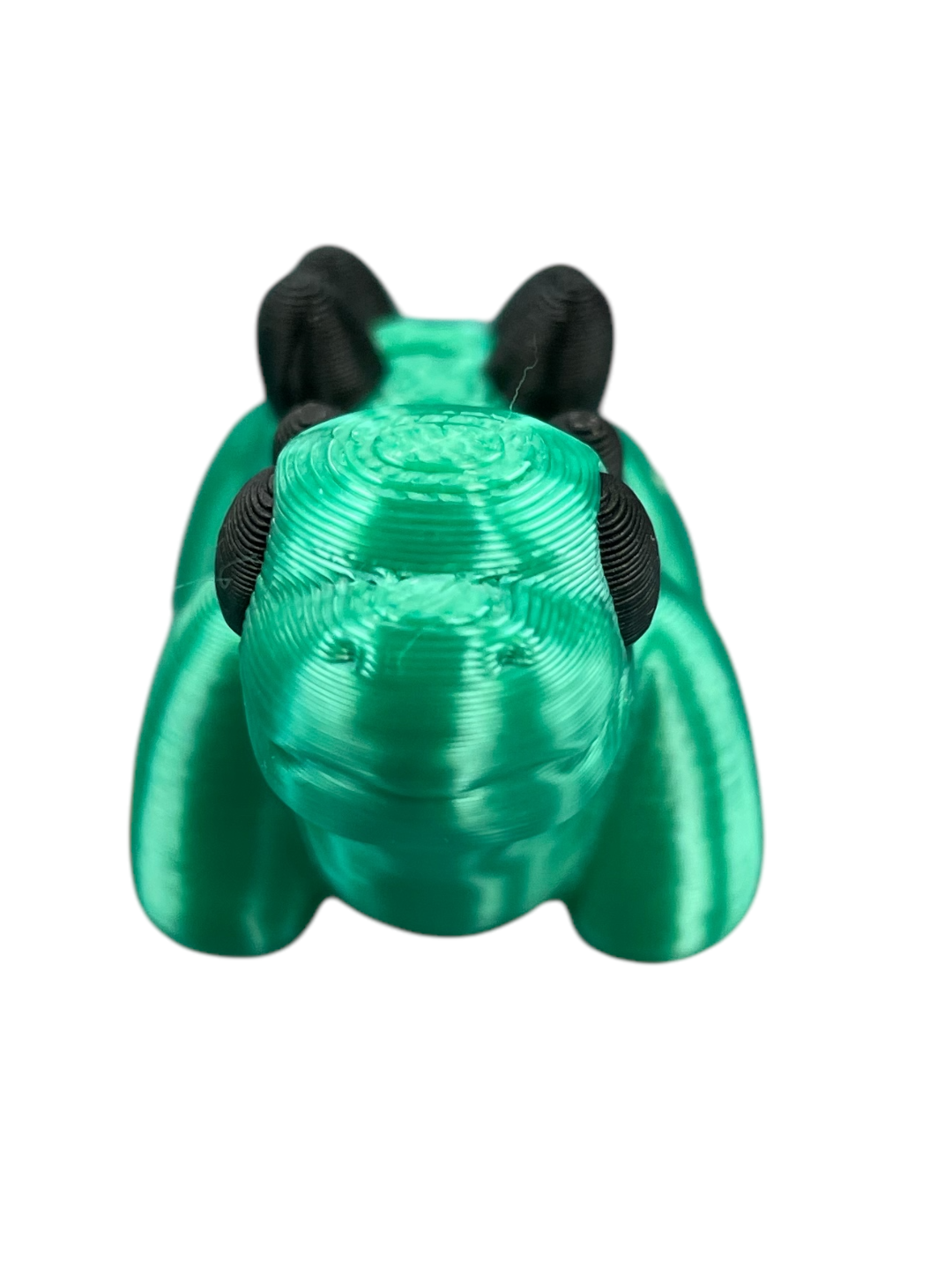 30008-3D Printed Baby Stegosaurus(5)