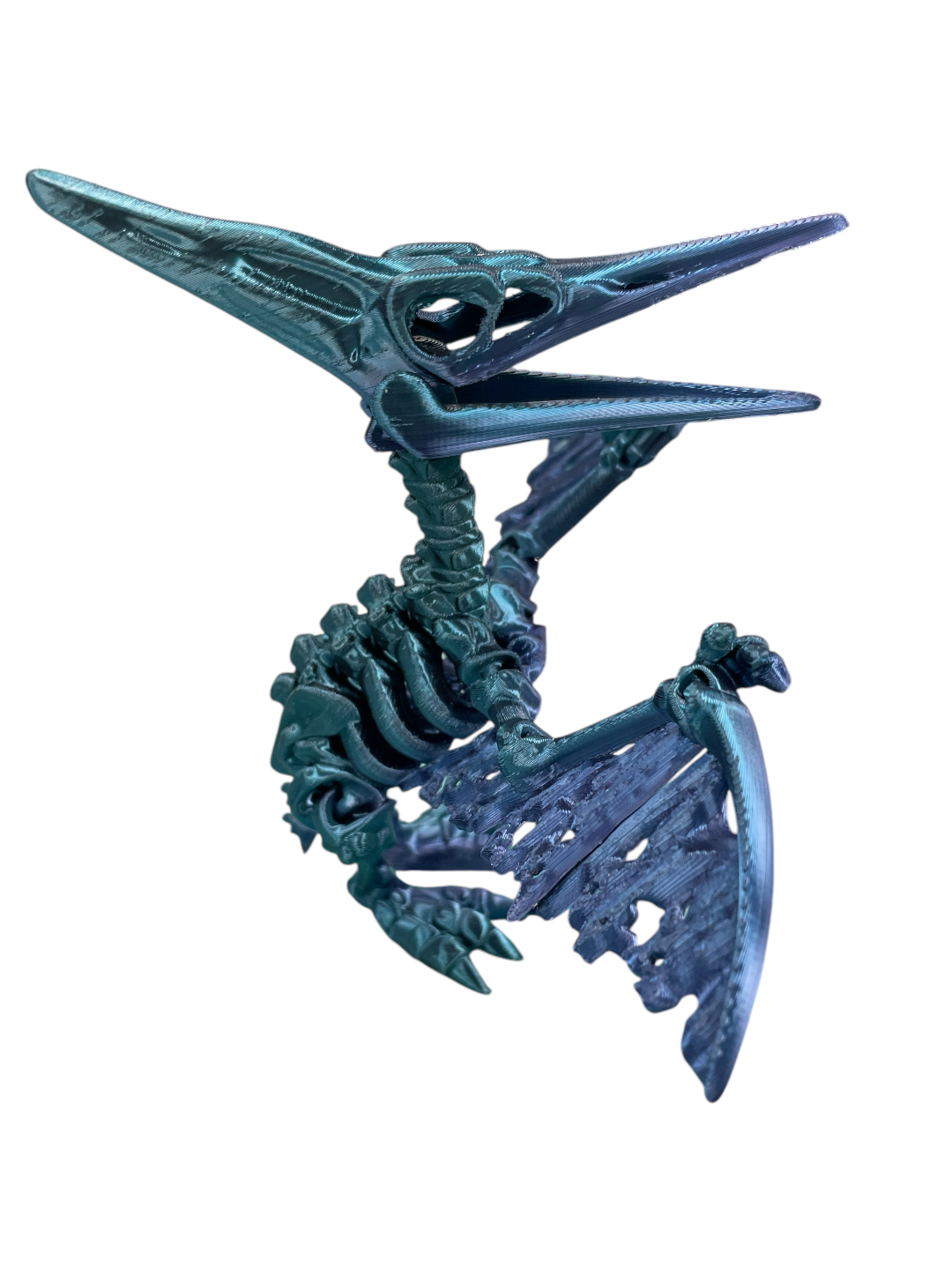 104-384-3D Printed Skeleton Pterodactyl-100(15)