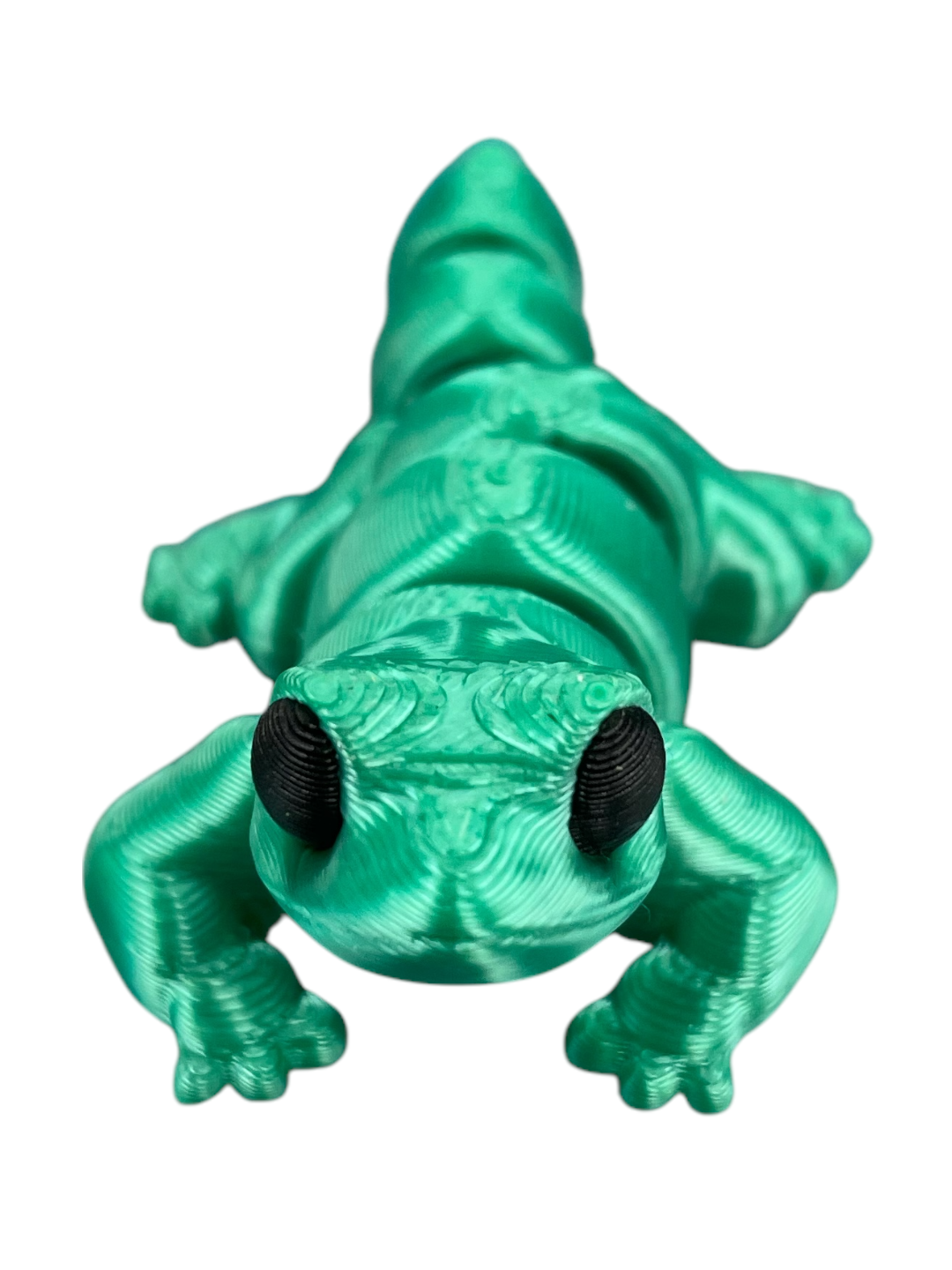 30003-3D Printed Baby Lizard(5)