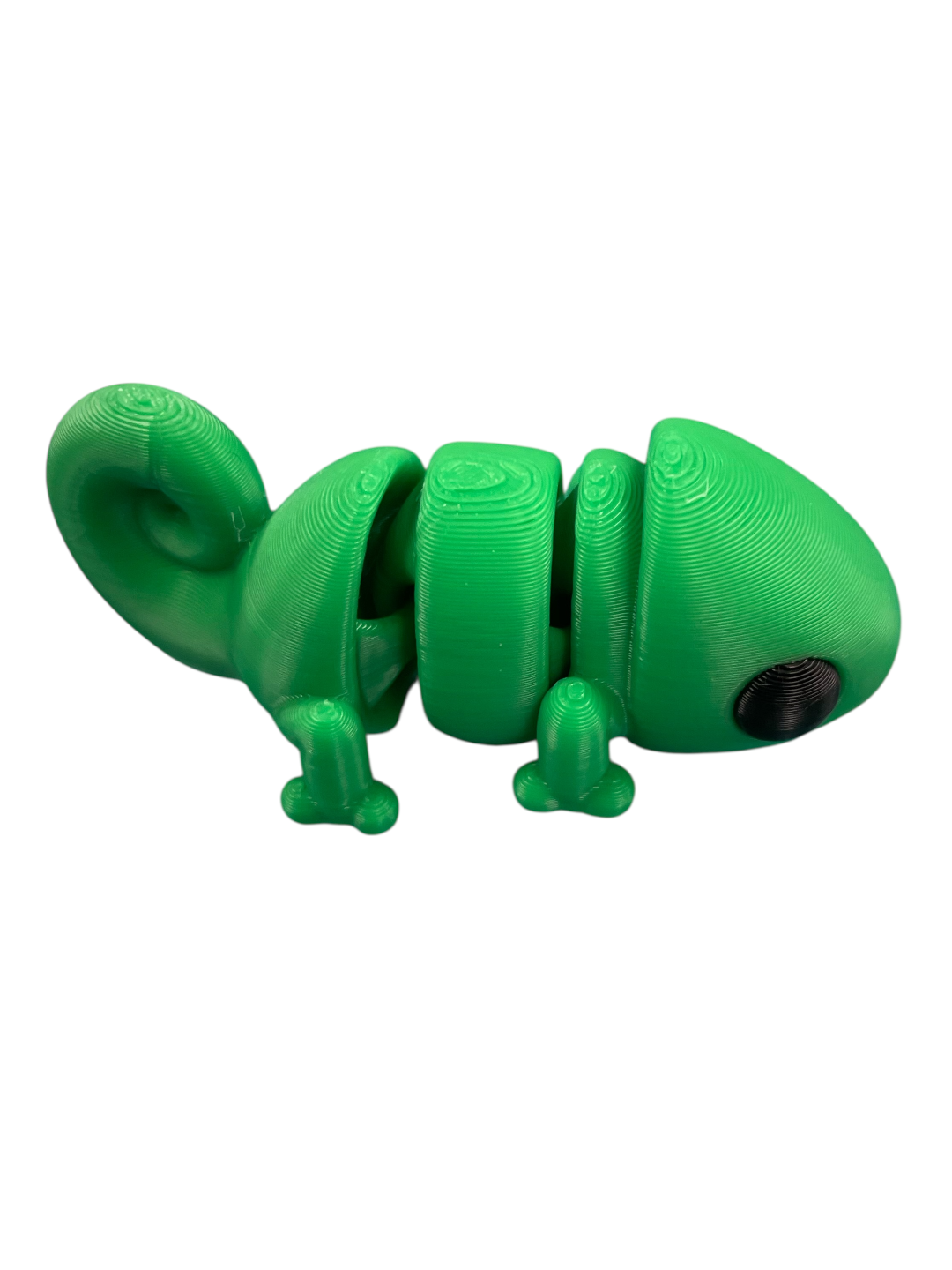 300044-3D Printed Baby Chameleon(5)