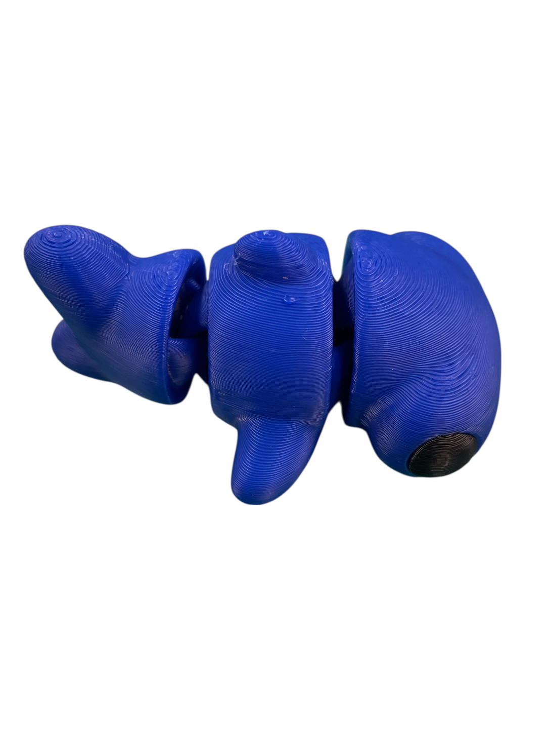 300045-3D Printed Baby Hammerhead Shark(5)