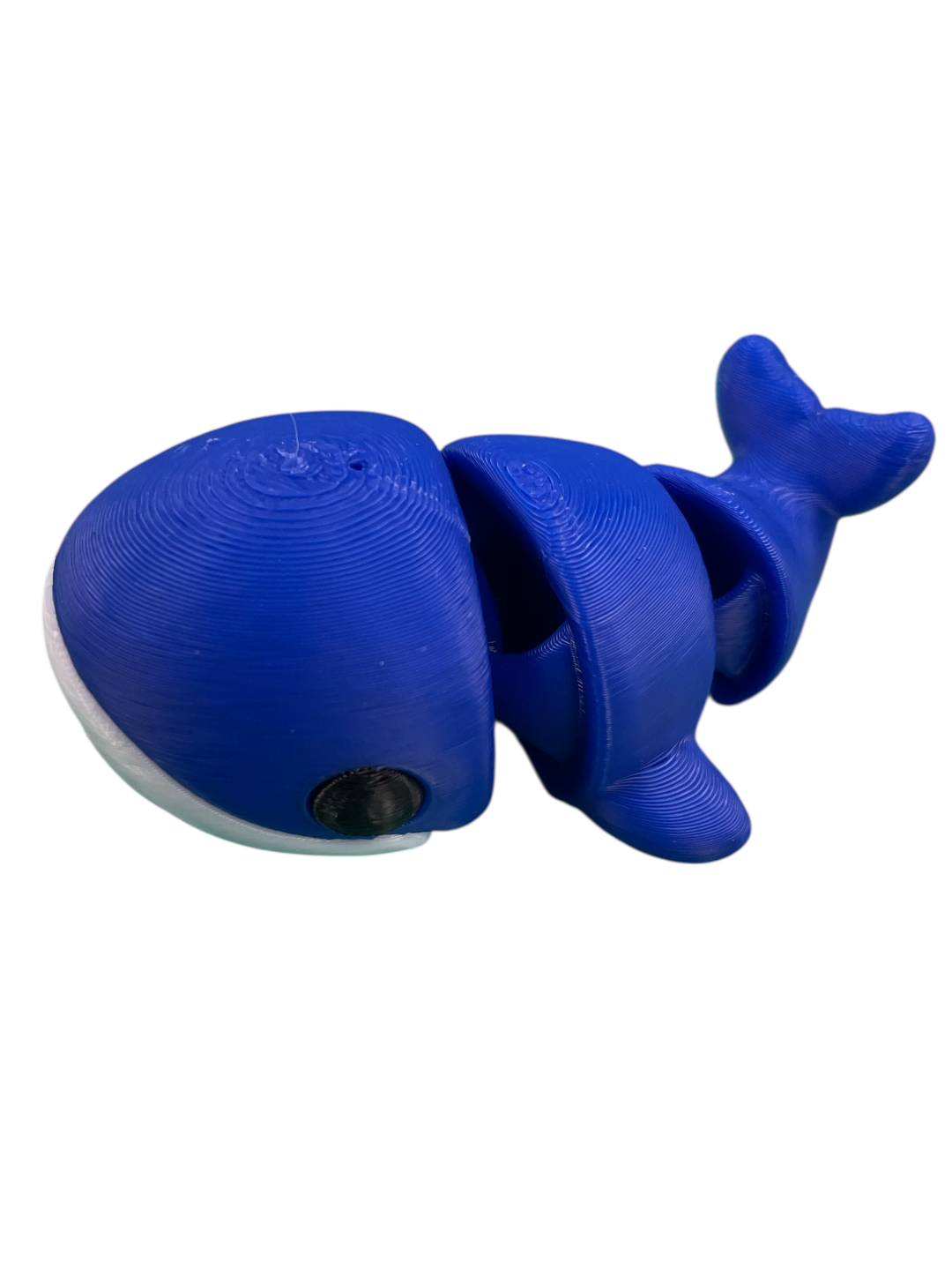 300047-3D Printed Baby Whale(5)