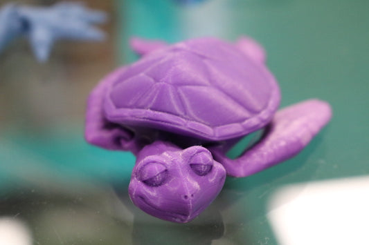 104-305-3D 75% Turtle(6)