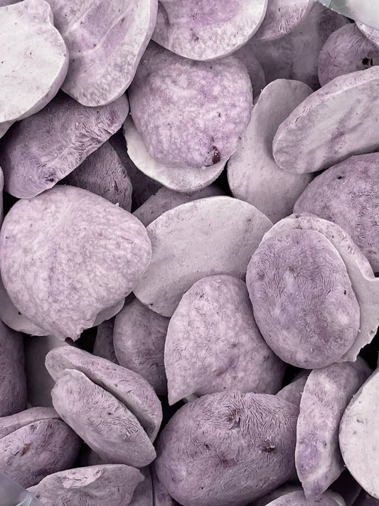 1045169-Blueberry Yogurt Drops(6)