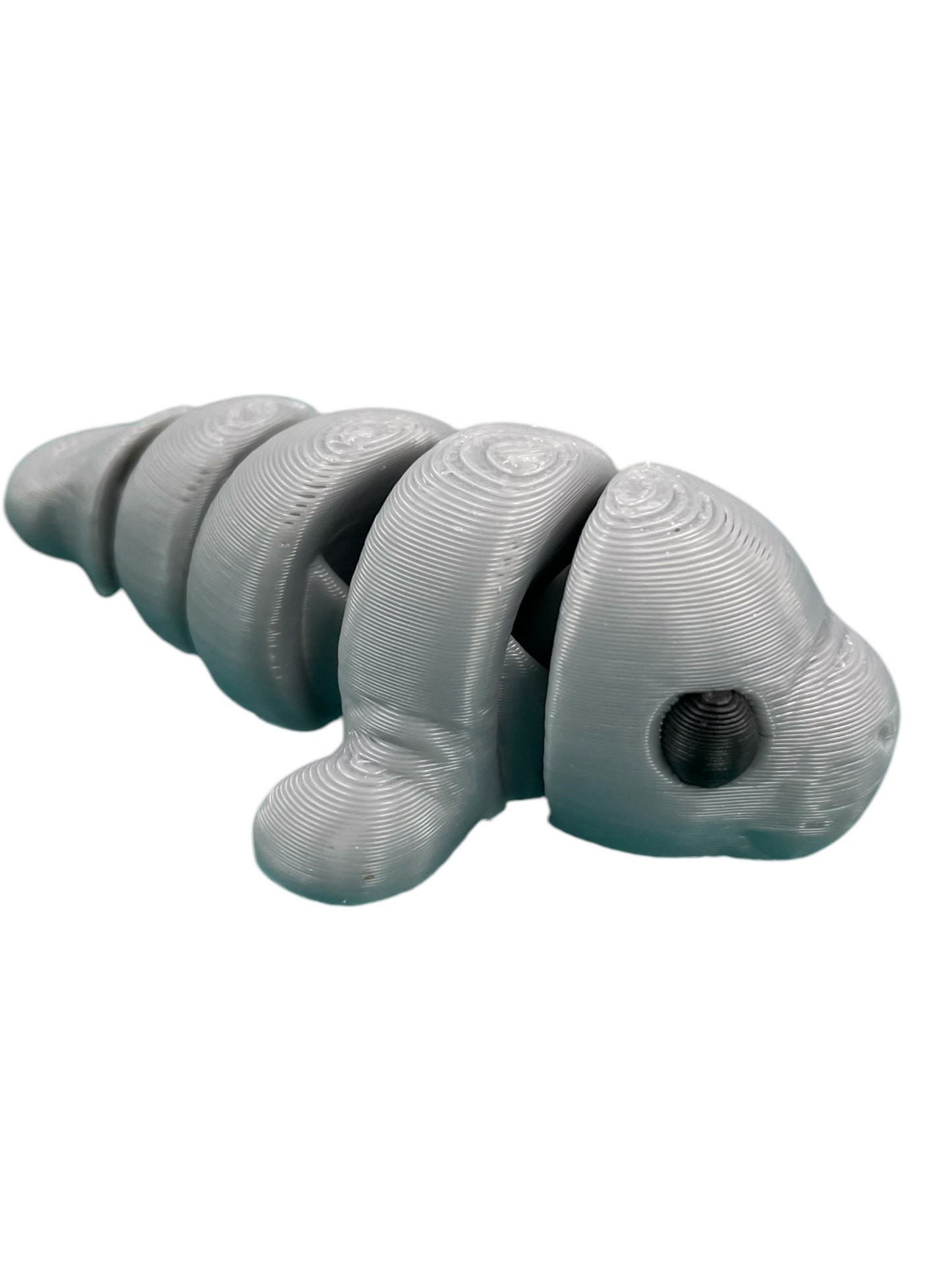 300016-3D Printed Baby Manatee(5)