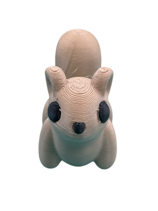 300026-3D Printed Baby Squirrel(5)