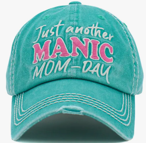 1113-Just Another Manic Mom-Day(17)