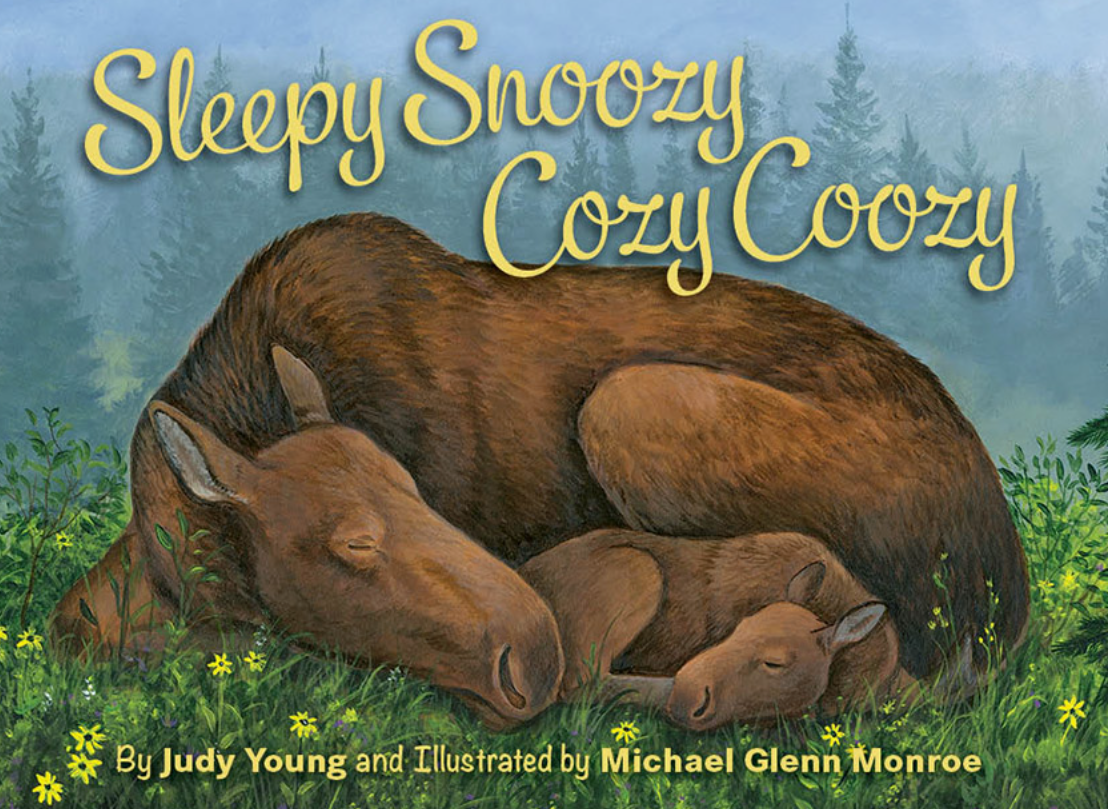 0007-63-Sleepy Snoozy Cozy Coozy Toddler Board Book(10)