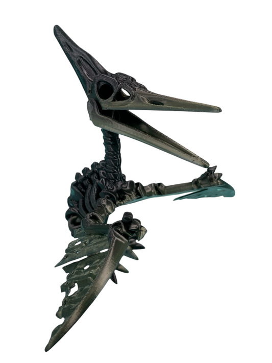104-384-3D Printed Skeleton Pterodactyl-100(15)