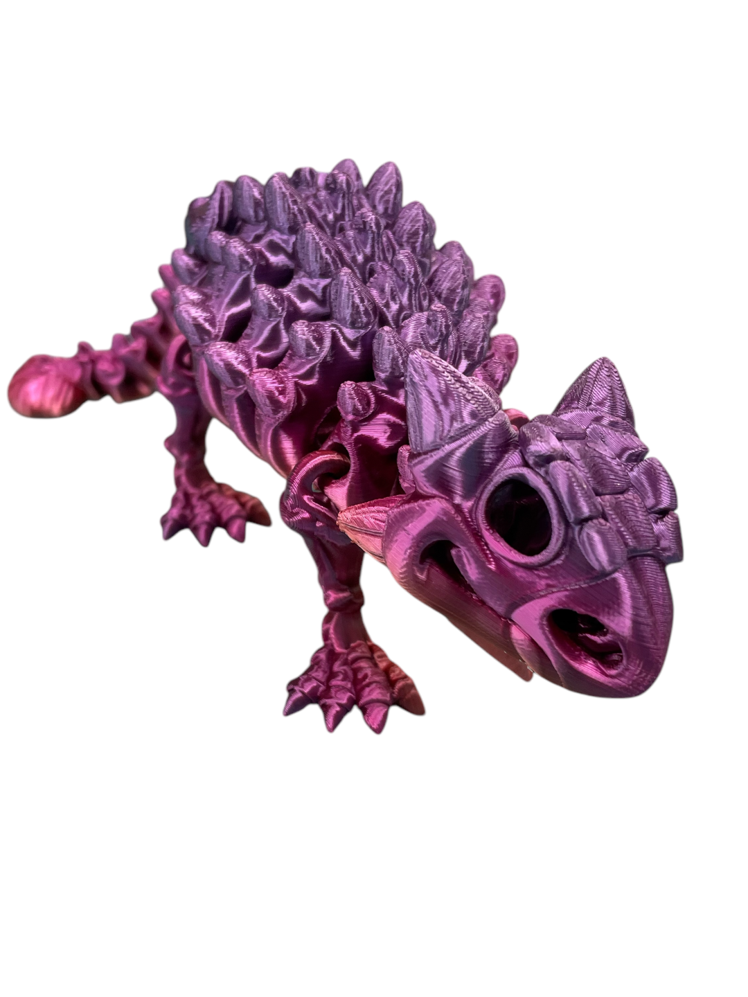 104-388-3D Printed Skeleton Ankylosaurus-100(15)