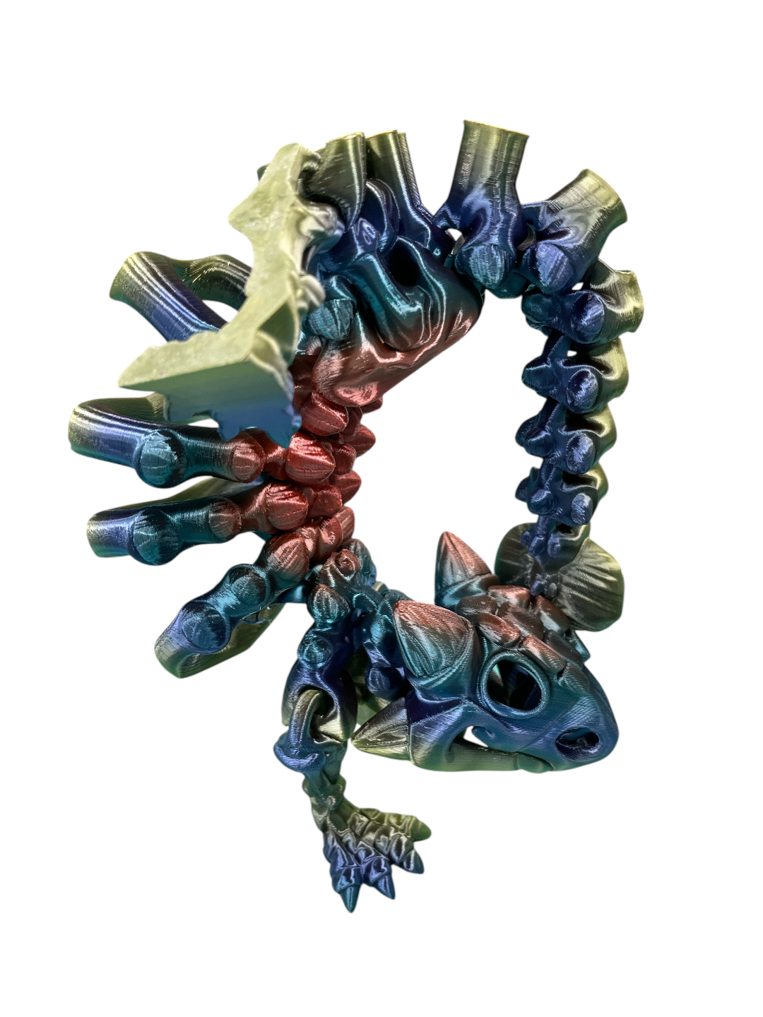 104-389-3D Printed Skeleton Ankylosaurus-75(12)